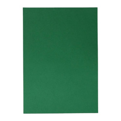 SPIRIT TTS Foto karton 220g 70x100cm, ciemnozielony - 50 sztuk