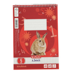 HERLITZ blok szkolny biurowy spiralny A5 40 arkuszy w kratkę linia 05