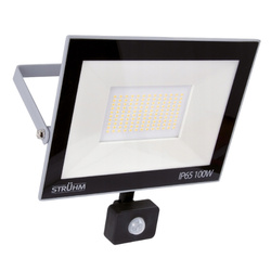 Struhm Naświetlacz halogen czujnik ruchu LED S 100W GREY